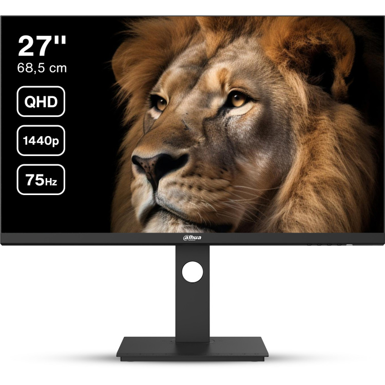 Dahua-DHI-LM27-P301A-ledmonitor