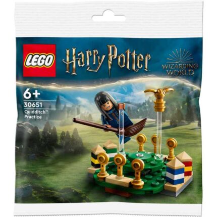 LEGO Harry Potter - Zwerkbal training Constructiespeelgoed