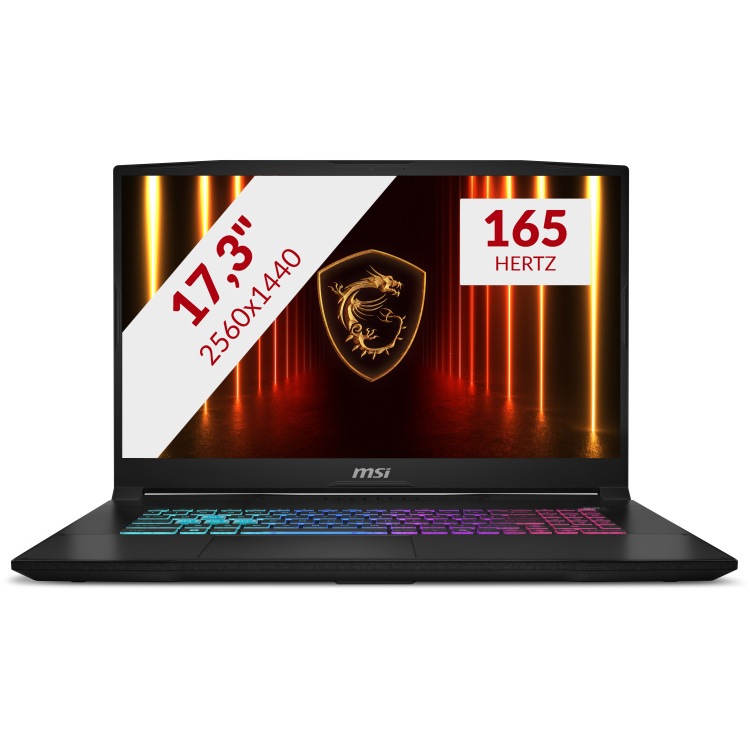 MSI-Katana-17-HX-B14WGK-023NL-17.3-gaming-laptop
